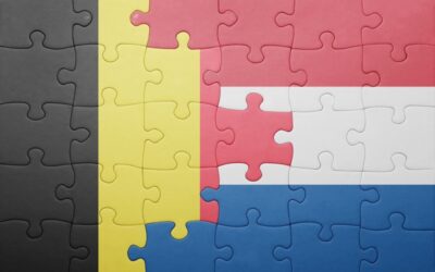 Geen rente bij eigen fout